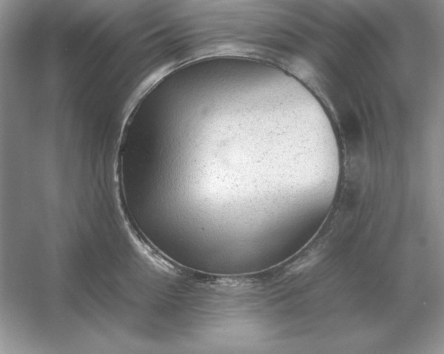 X0000053150954200507251838