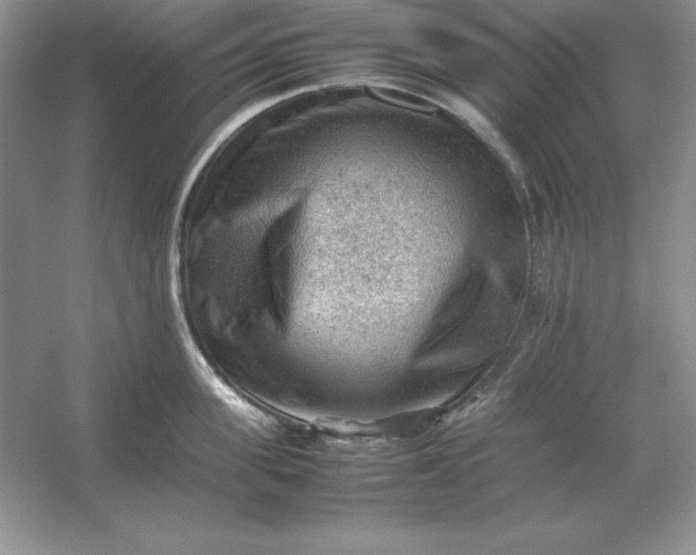 X0000053150955200507251838