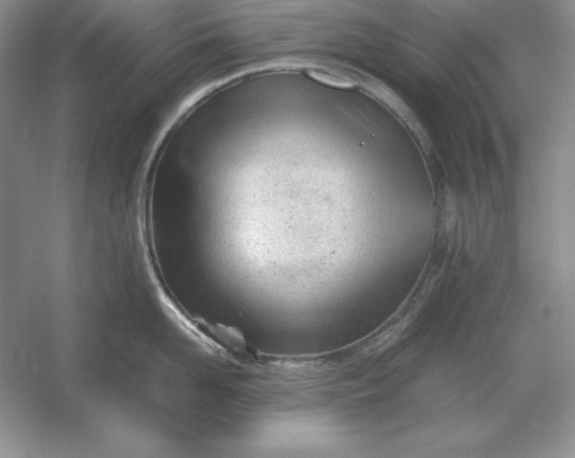 X0000053150958200507251838