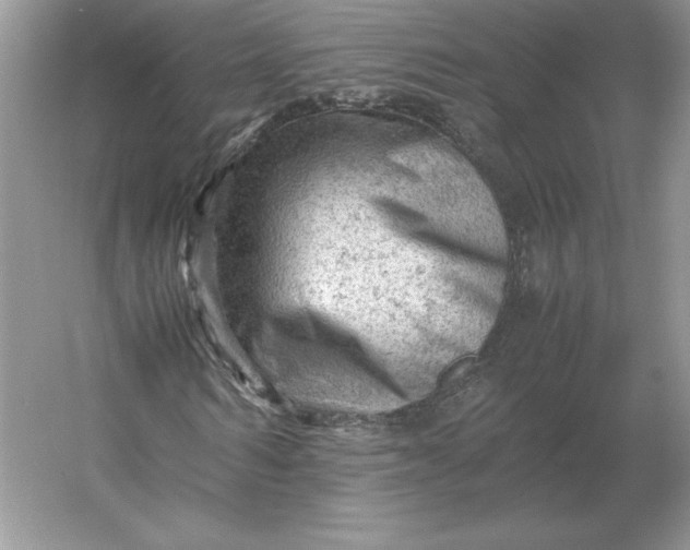 X0000053150962200507251837