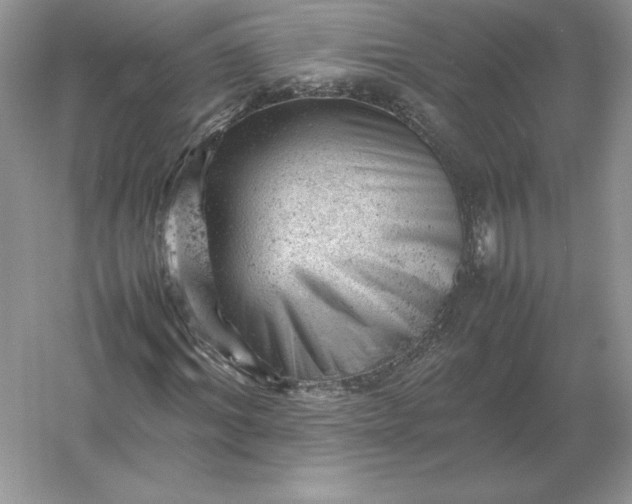 X0000053150964200507251837