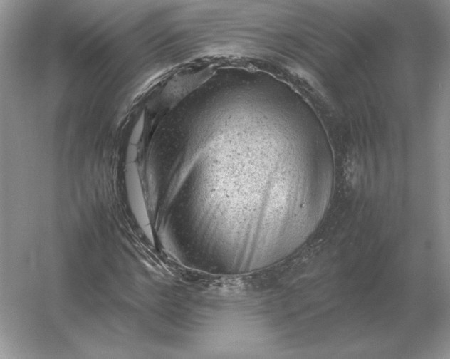 X0000053150968200507251837
