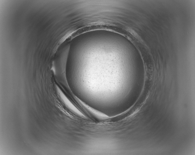 X0000053150969200507251837