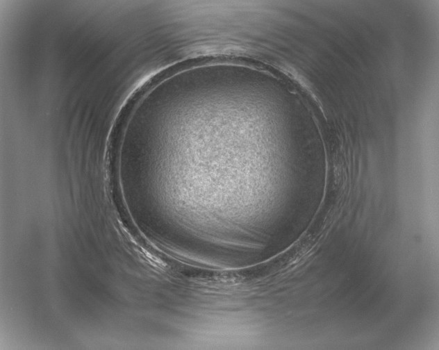 X0000053150975200507251837