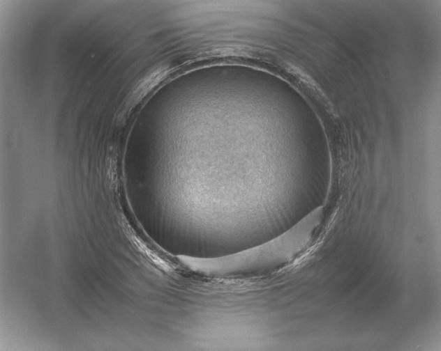 X0000053150977200507251837