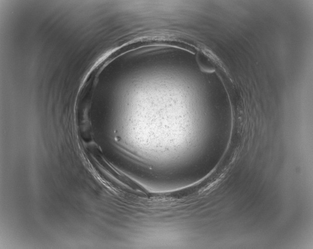 X0000053150981200507251837