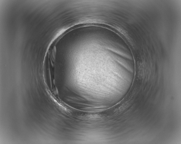 X0000053150982200507251837