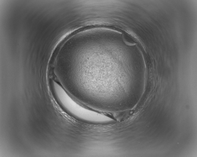 X0000053150983200507251837