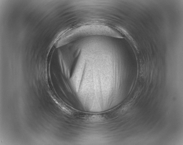 X0000053150986200507251837