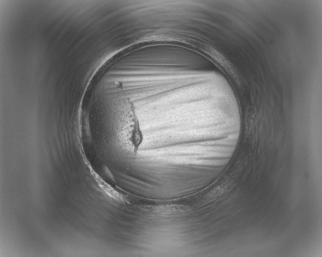 X0000053150988200507251837
