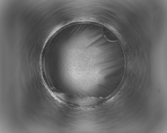 X0000053150990200507251837