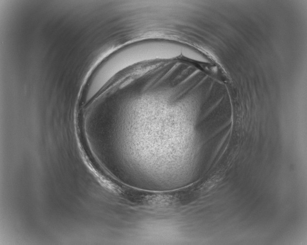 X0000053150991200507251837