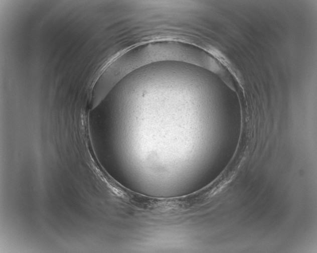X0000053150993200507251837