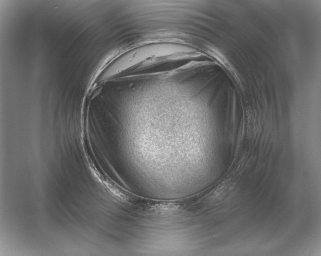 X0000053150994200507251837