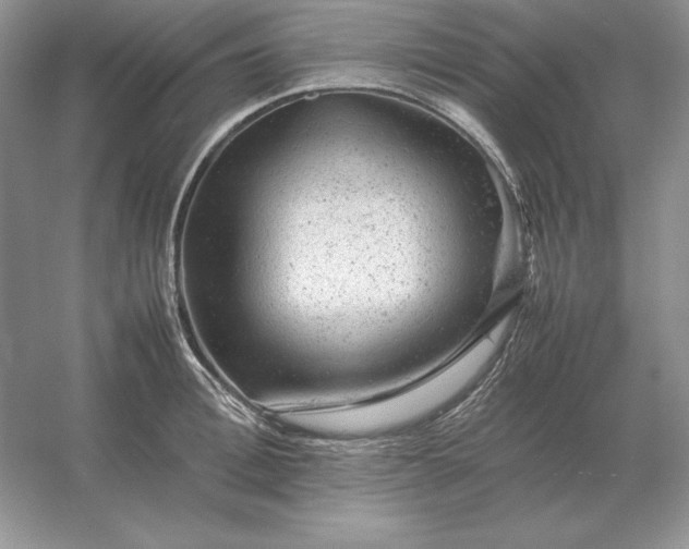 X0000053150996200507251837