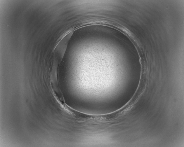 X0000053151001200507251837