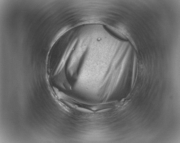 X0000053151002200507251837