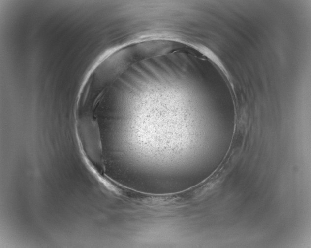 X0000053151005200507251837