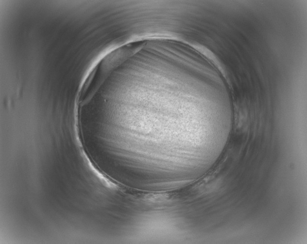 X0000053151006200507251837