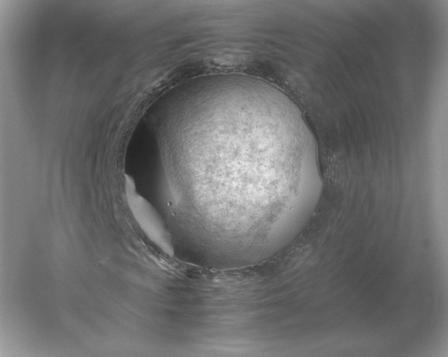 X0000053151009200507251836