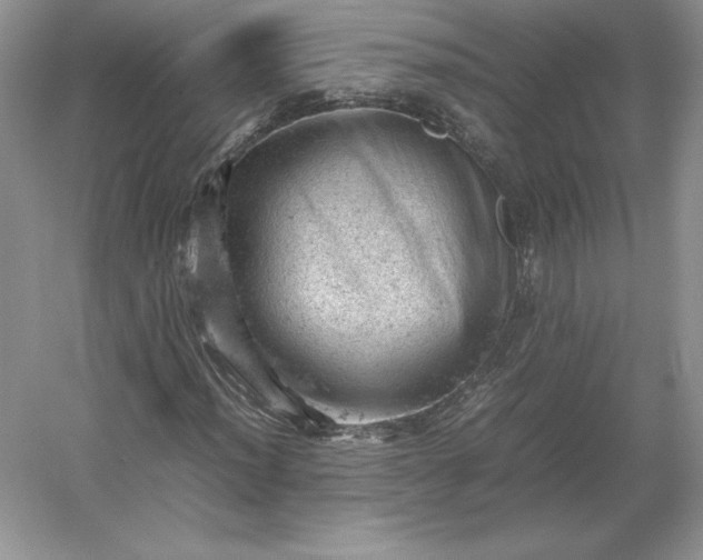 X0000053151012200507251836