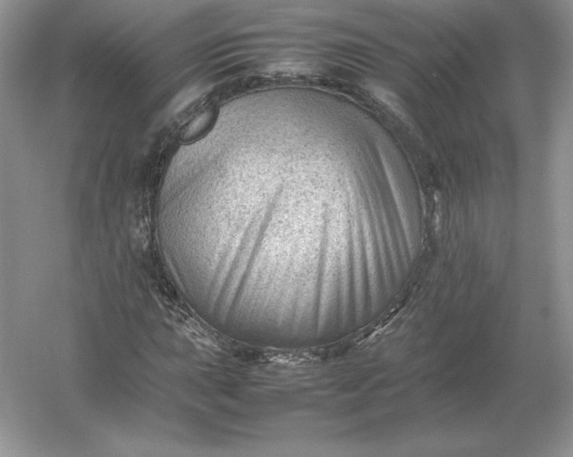X0000053151015200507251836