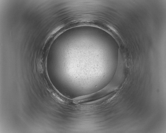 X0000053151018200507251836