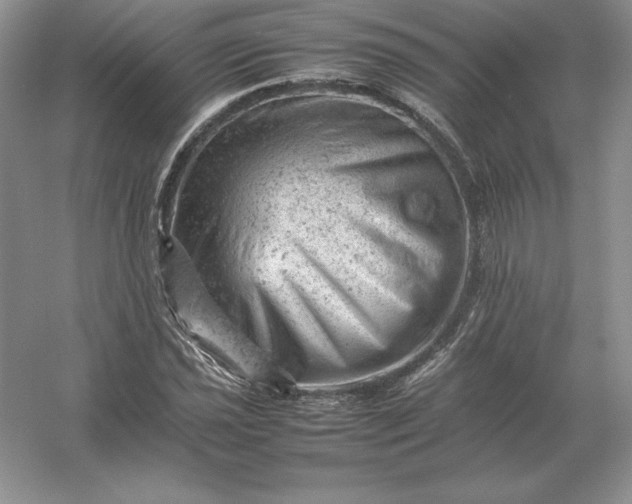 X0000053151021200507251836