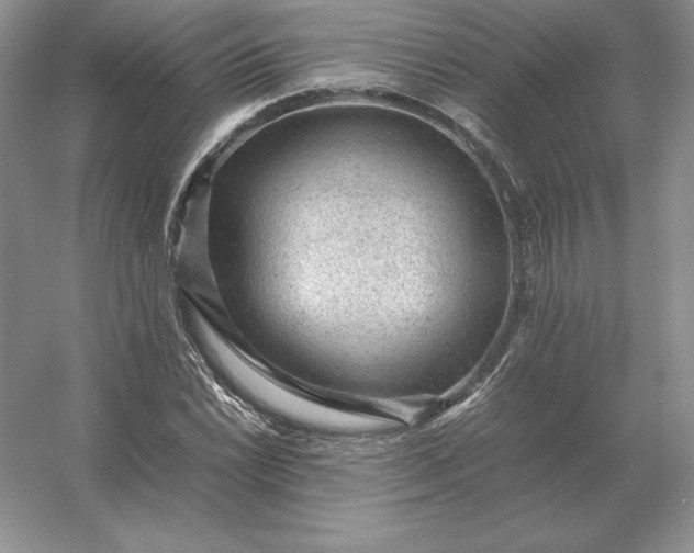 X0000053151022200507251836