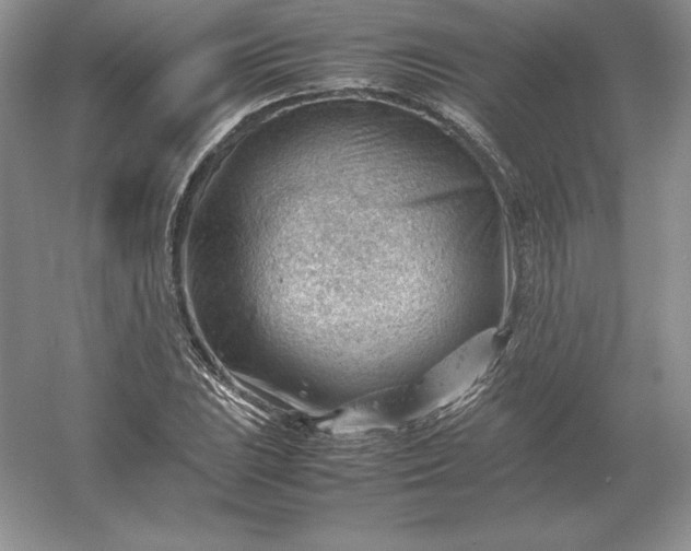 X0000053151023200507251836