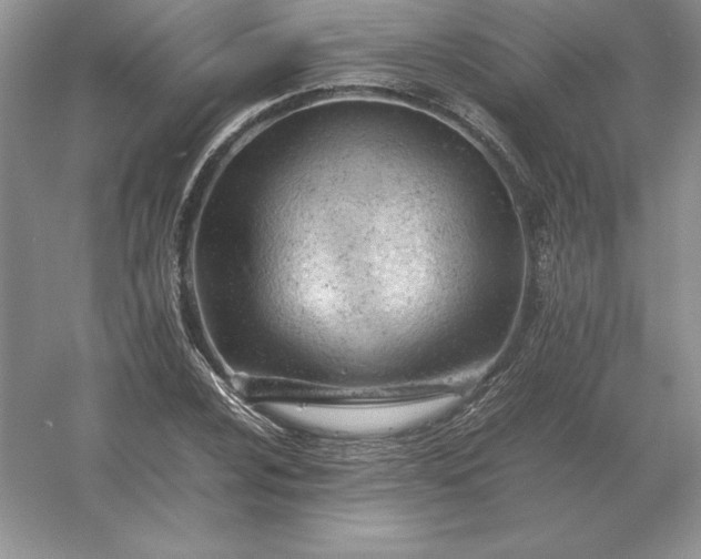 X0000053151024200507251836