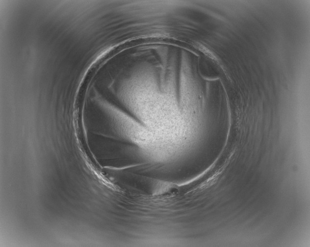 X0000053151029200507251836