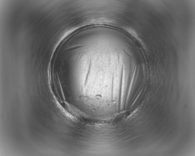 X0000053151032200507251836