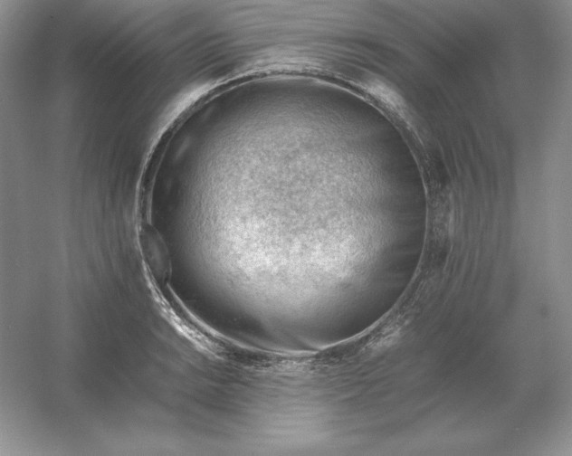 X0000053151038200507251836