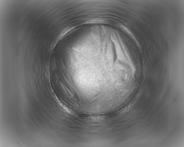 X0000053151041200507251836