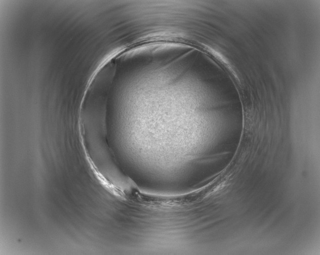 X0000053151042200507251836