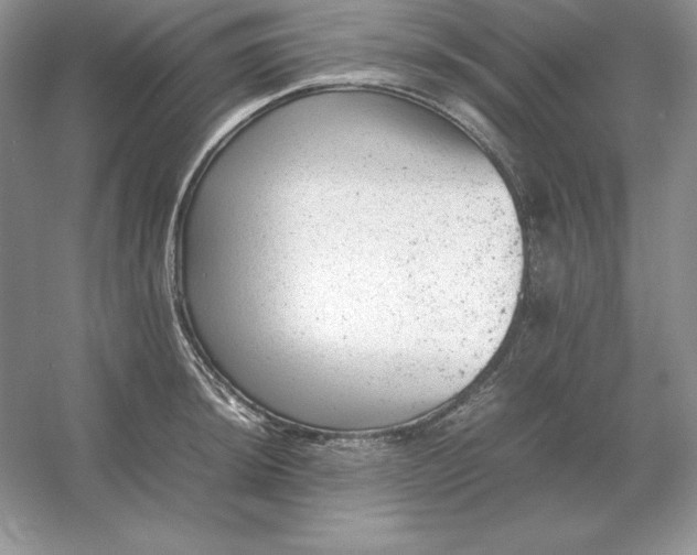 X0000053151044200507251836