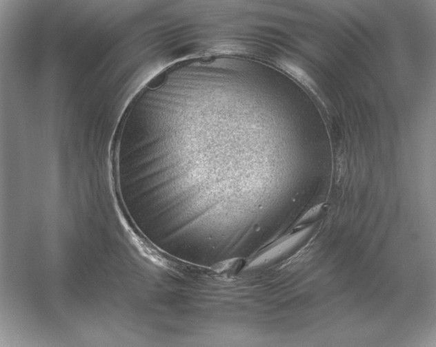 X0000053151047200507251836