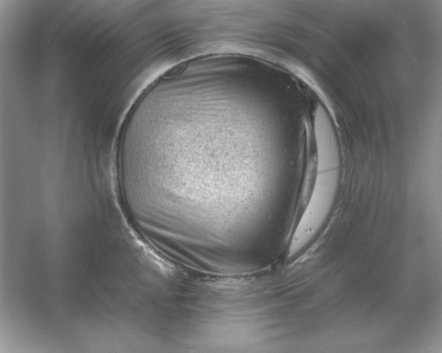X0000053151048200507251836