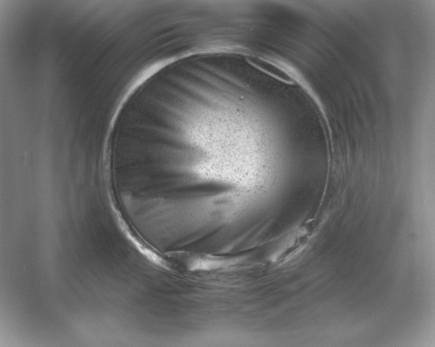 X0000053151053200507251836
