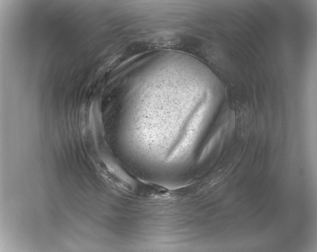 X0000053151058200507251836