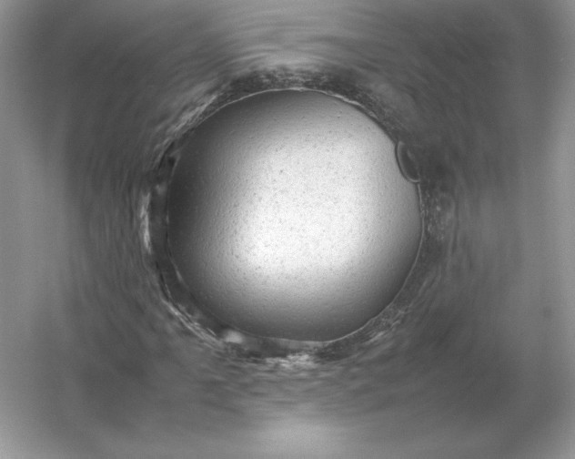 X0000053151061200507251836