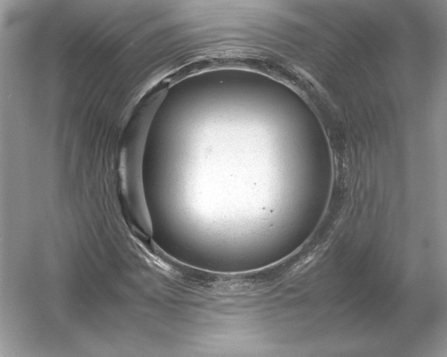 X0000053151065200507251836