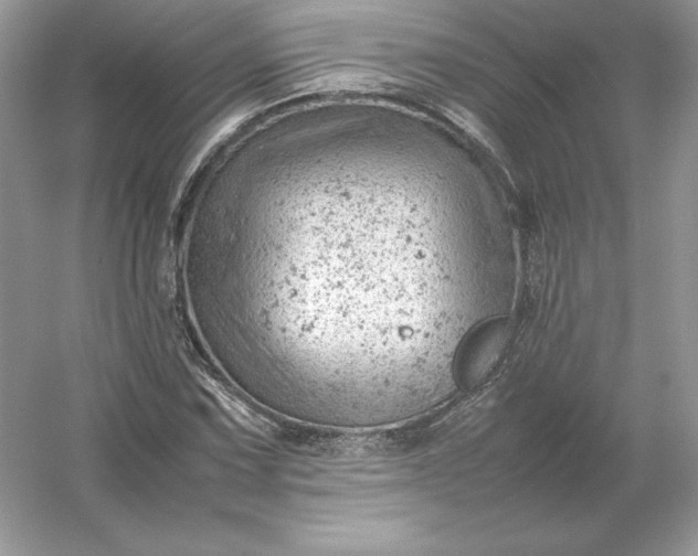X0000053151067200507251836
