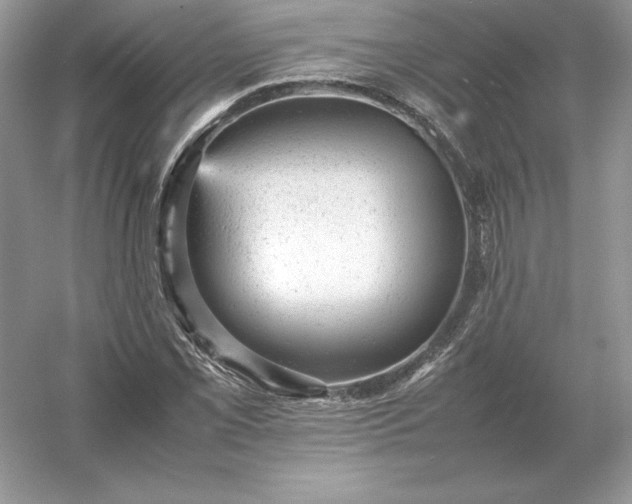 X0000053151069200507251836