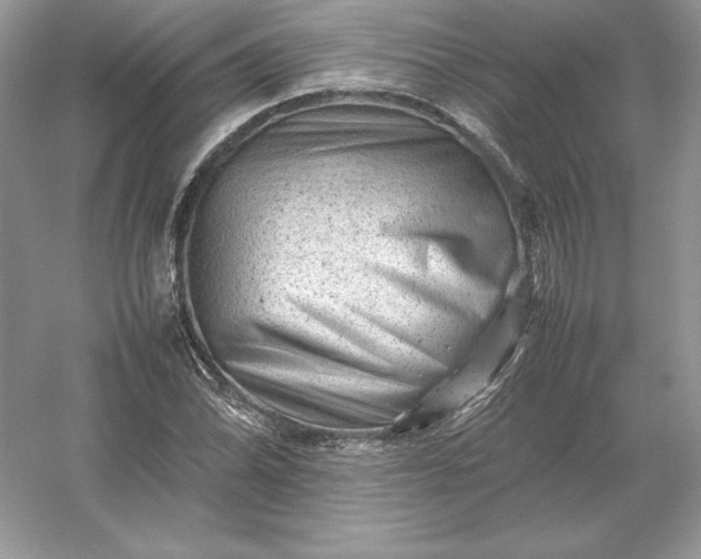 X0000053151070200507251836