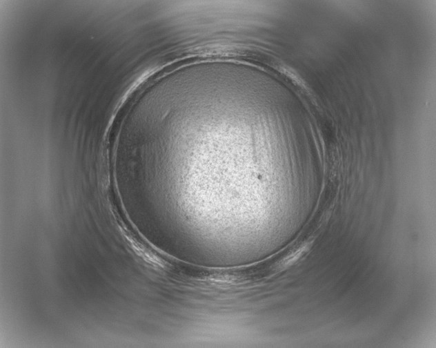 X0000053151075200507251835