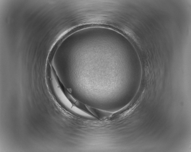 X0000053151077200507251835
