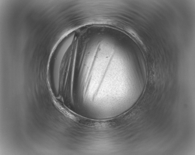 X0000053151080200507251835