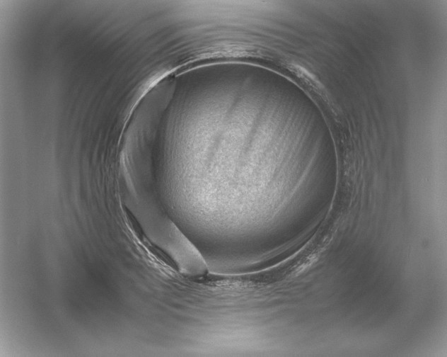 X0000053151081200507251835